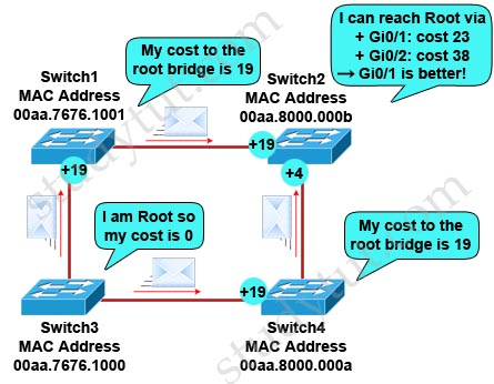 RSPT_port_roles2.jpg