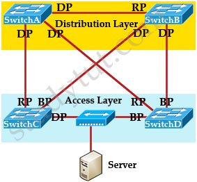STP_Designated_Ports_Role_Explain.jpg